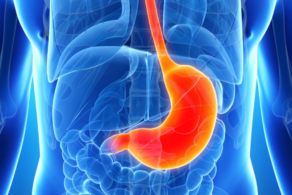 Ligadura de várices esofágicas en CDMX: tratamiento endoscópico para prevenir sangrado digestivo